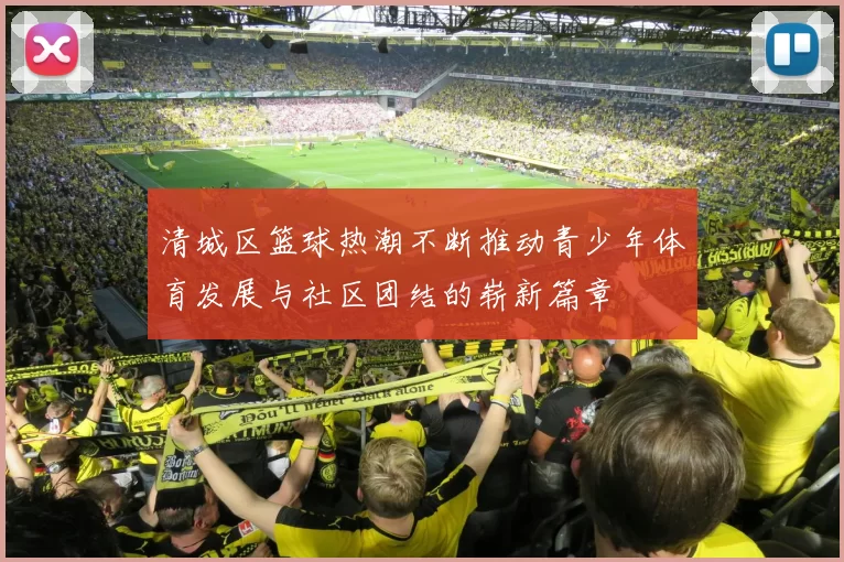清城区篮球热潮不断推动青少年体育发展与社区团结的崭新篇章