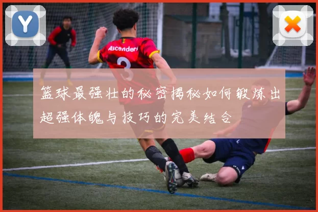 篮球最强壮的秘密揭秘如何锻炼出超强体魄与技巧的完美结合