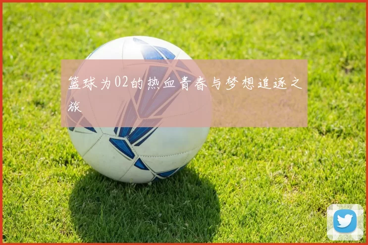 篮球为02的热血青春与梦想追逐之旅
