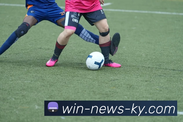 开云·体育APP 封面图